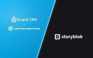 Blue and Grey Diagonal Split of Drupal CMS Lupus Decoupled Drupal and Storyblok Logos