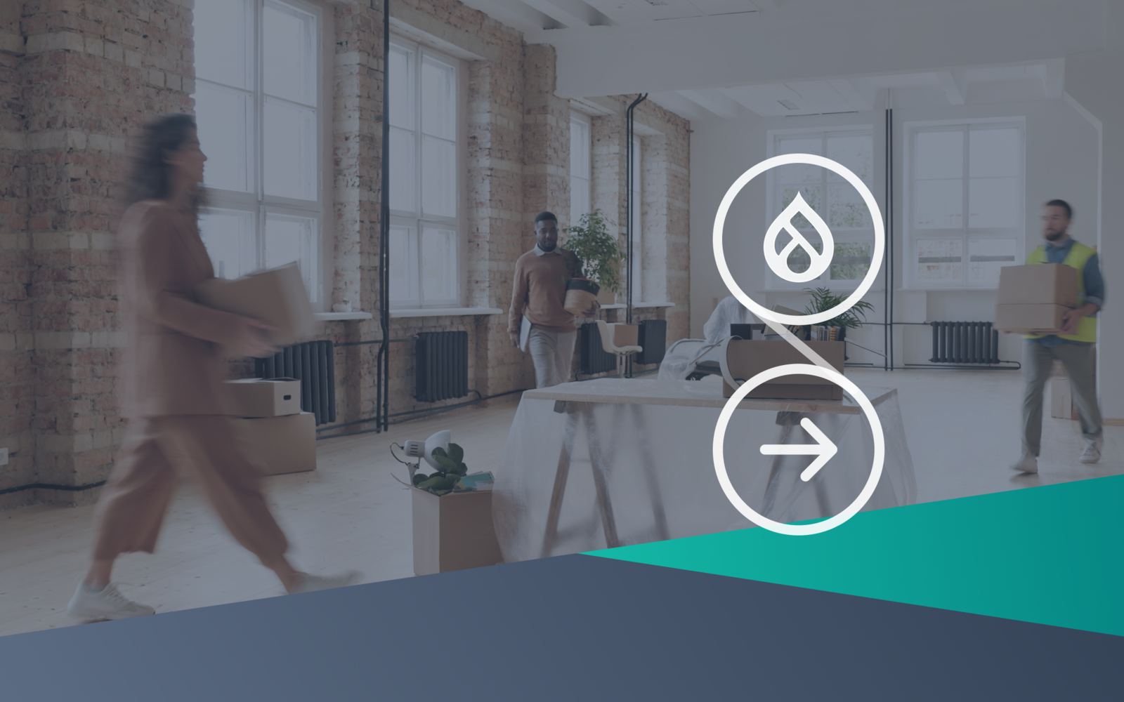 drunomics migration services banner