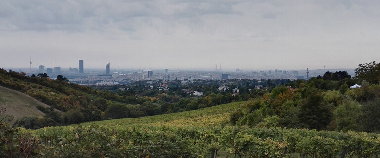 Vienna woods